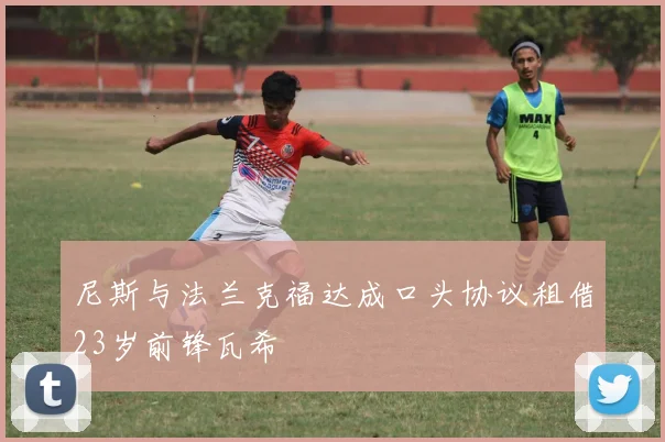 尼斯与法兰克福达成口头协议租借23岁前锋瓦希