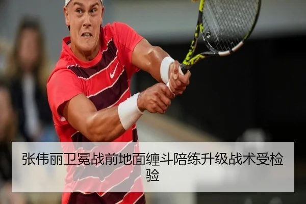 张伟丽卫冕战前地面缠斗陪练升级战术受检验